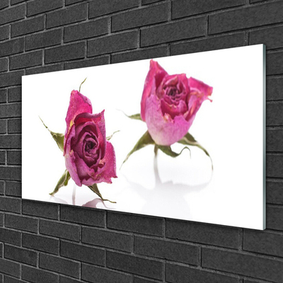 Glasbild aus Plexiglas® Rosen Pflanzen