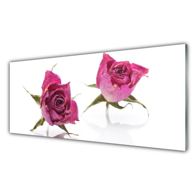 Glasbild aus Plexiglas® Rosen Pflanzen