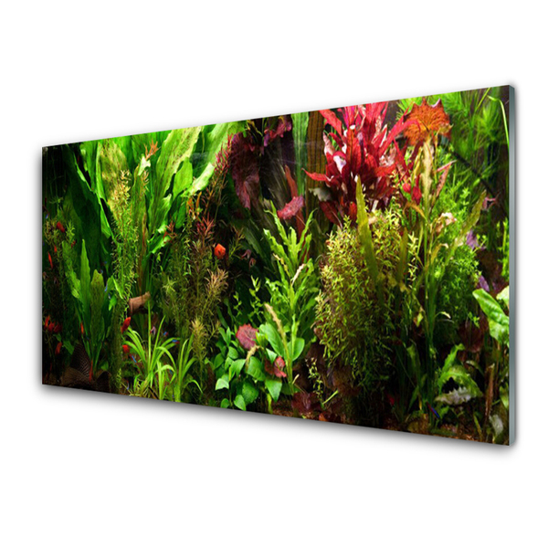 Glasbild aus Plexiglas® Blattpflanzen Natur