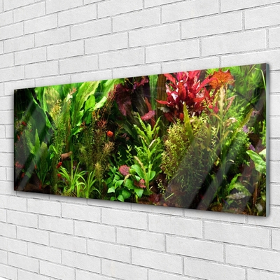 Glasbild aus Plexiglas® Blattpflanzen Natur