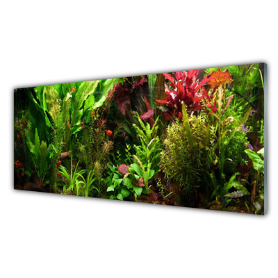 Glasbild aus Plexiglas® Blattpflanzen Natur