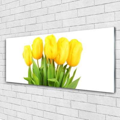 Glasbild aus Plexiglas® Tulpen Pflanzen