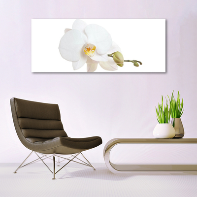 Glasbild aus Plexiglas® Blume Pflanzen