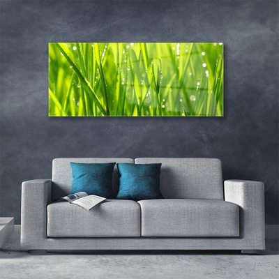 Glasbild aus Plexiglas® Gras Natur