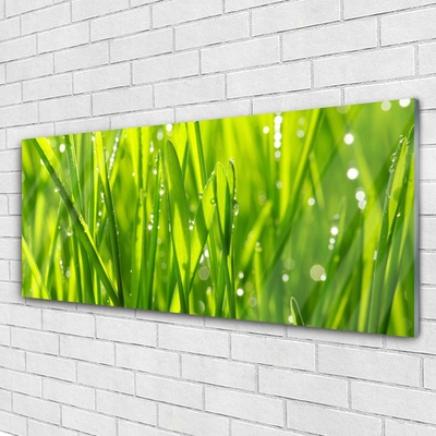 Glasbild aus Plexiglas® Gras Natur