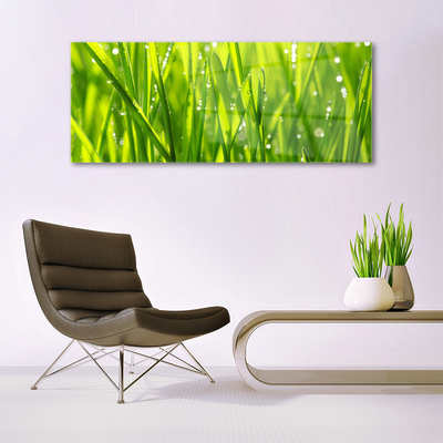 Glasbild aus Plexiglas® Gras Natur