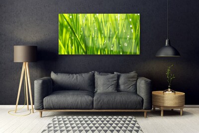 Glasbild aus Plexiglas® Gras Natur