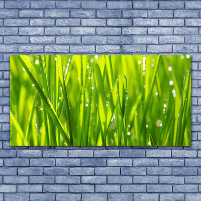 Glasbild aus Plexiglas® Gras Natur