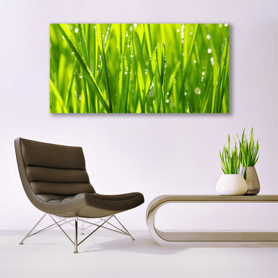 Glasbild aus Plexiglas® Gras Natur