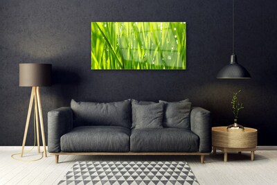 Glasbild aus Plexiglas® Gras Natur