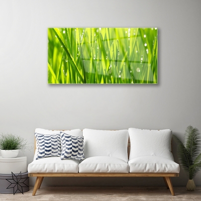 Glasbild aus Plexiglas® Gras Natur