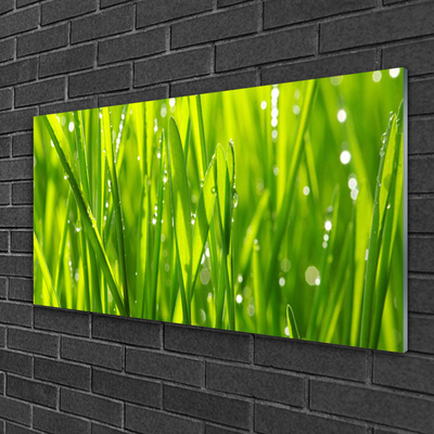 Glasbild aus Plexiglas® Gras Natur