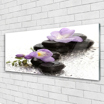 Glasbild aus Plexiglas® Blumen Steine Kunst