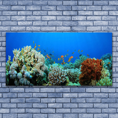 Wandbilder 100x50 Glasbild Druck auf Glas Korallenriff Natur 