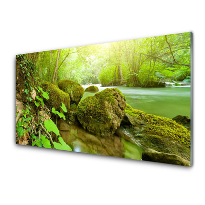 Glasbild aus Plexiglas® See Steine Natur