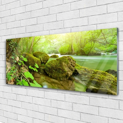 Glasbild aus Plexiglas® See Steine Natur