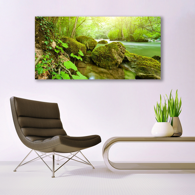 Glasbild aus Plexiglas® See Steine Natur