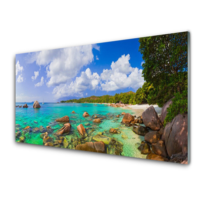 Glasbild aus Plexiglas® Meer Steine Bäume Landschaft