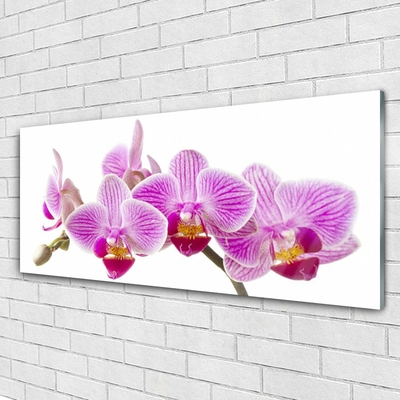 Glasbild aus Plexiglas® Blumen Pflanzen