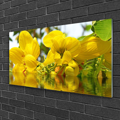 Glasbild aus Plexiglas® Blumen Pflanzen