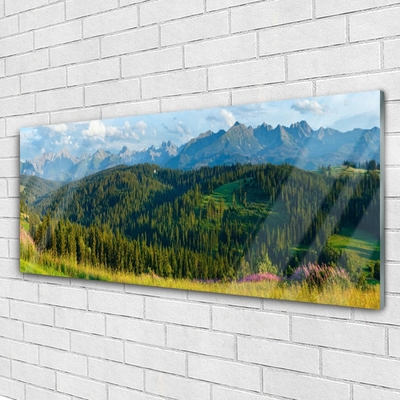 Glasbild aus Plexiglas® Gebirge Wald Natur