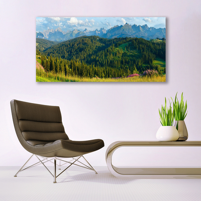 Glasbild aus Plexiglas® Gebirge Wald Natur