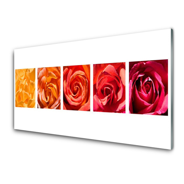 Glasbild aus Plexiglas® Rosen Pflanzen