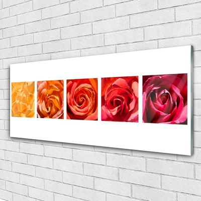 Glasbild aus Plexiglas® Rosen Pflanzen