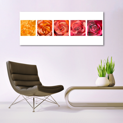 Glasbild aus Plexiglas® Rosen Pflanzen