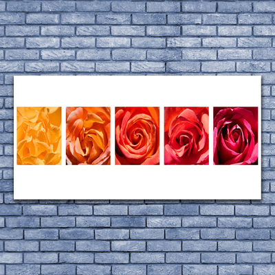 Glasbild aus Plexiglas® Rosen Pflanzen