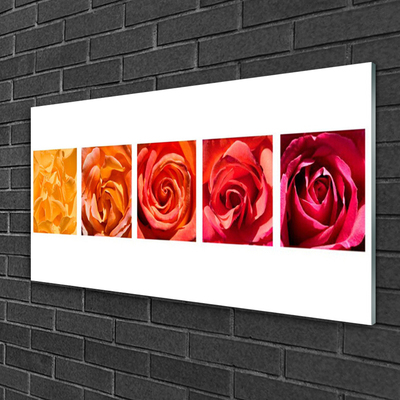 Glasbild aus Plexiglas® Rosen Pflanzen