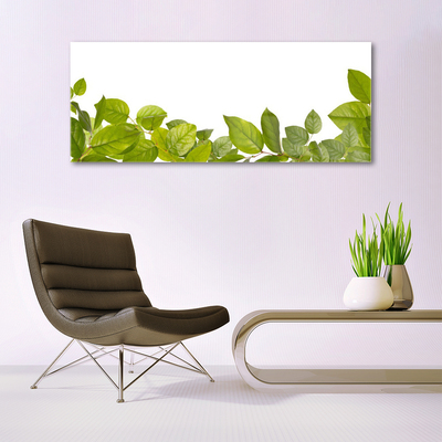 Glasbild aus Plexiglas® Blätter Pflanzen