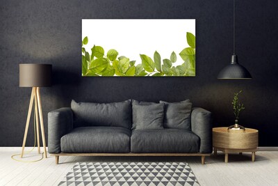Glasbild aus Plexiglas® Blätter Pflanzen