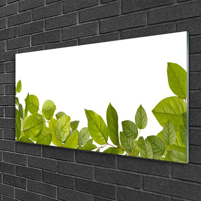 Glasbild aus Plexiglas® Blätter Pflanzen