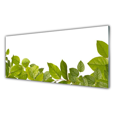 Glasbild aus Plexiglas® Blätter Pflanzen