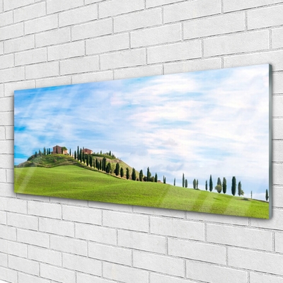 Glasbild aus Plexiglas® Wiese Bäume Landschaft