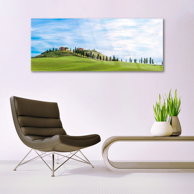 Glasbild aus Plexiglas® Wiese Bäume Landschaft