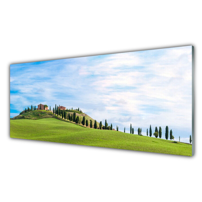 Glasbild aus Plexiglas® Wiese Bäume Landschaft