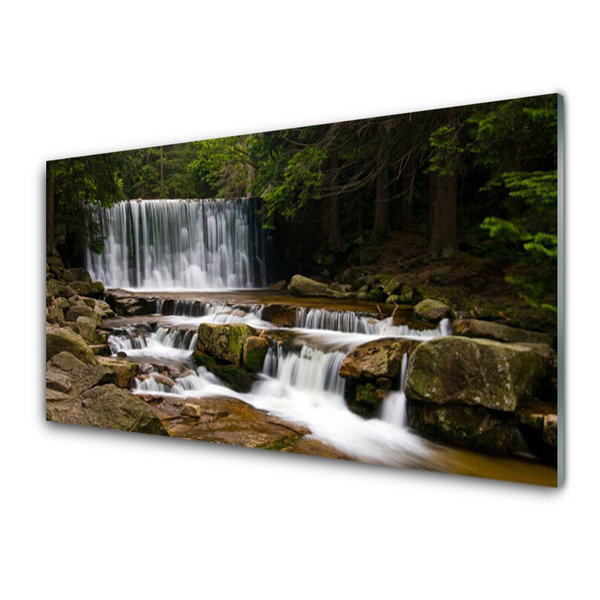 Glasbild aus Plexiglas® Wasserfall Wald Natur