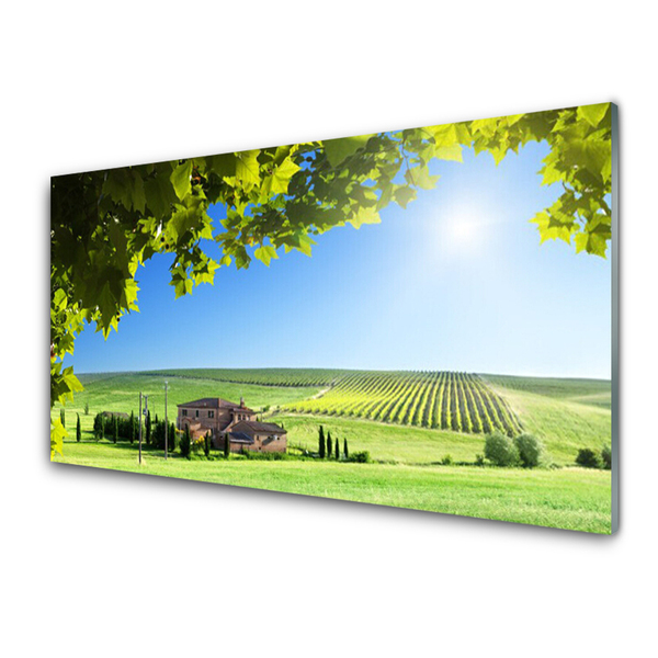 Glasbild aus Plexiglas® Ackerfeld Blätter Landschaft