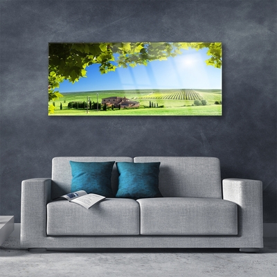 Glasbild aus Plexiglas® Ackerfeld Blätter Landschaft