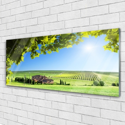 Glasbild aus Plexiglas® Ackerfeld Blätter Landschaft