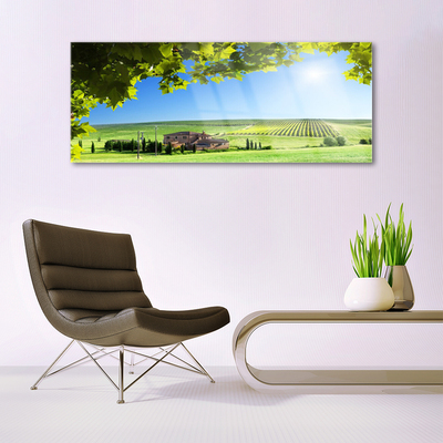 Glasbild aus Plexiglas® Ackerfeld Blätter Landschaft