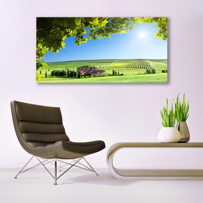 Glasbild aus Plexiglas® Ackerfeld Blätter Landschaft