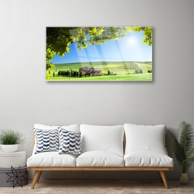 Glasbild aus Plexiglas® Ackerfeld Blätter Landschaft