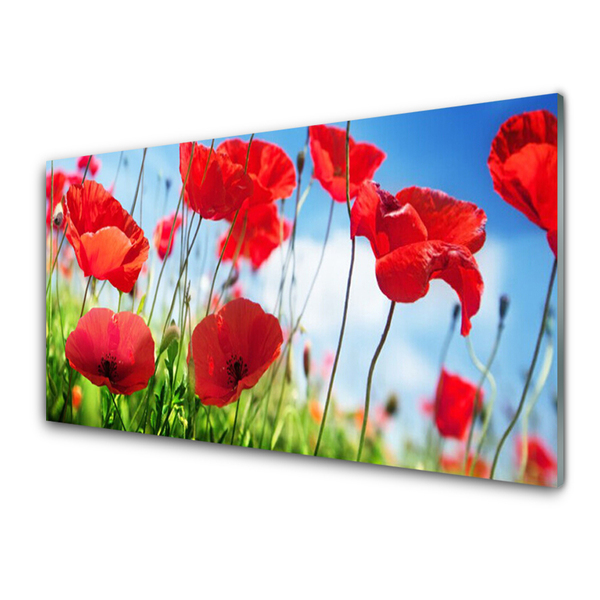 Glasbild aus Plexiglas® Mohnblumen Gras Natur