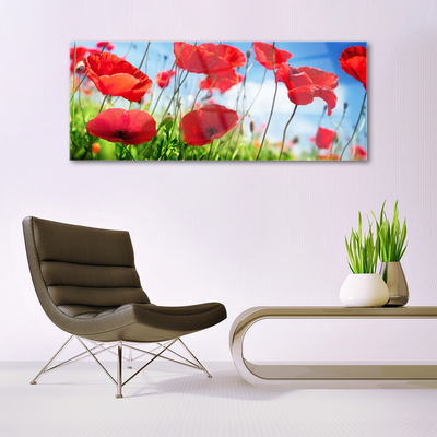 Glasbild aus Plexiglas® Mohnblumen Gras Natur