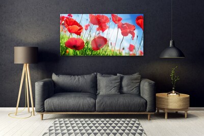 Glasbild aus Plexiglas® Mohnblumen Gras Natur