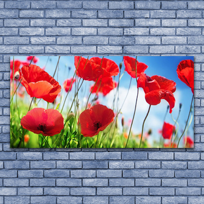 Glasbild aus Plexiglas® Mohnblumen Gras Natur