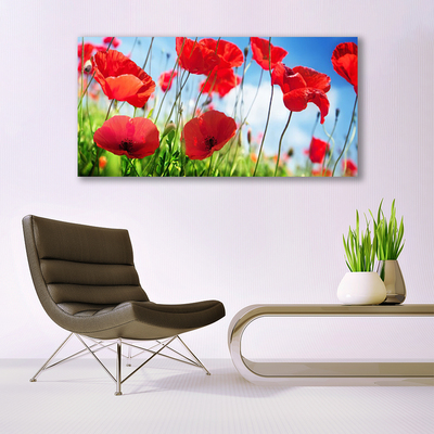 Glasbild aus Plexiglas® Mohnblumen Gras Natur